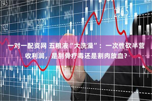 一对一配资网 五粮液“大洗澡”：一次性砍半营收利润，是刮骨疗毒还是割肉放血？